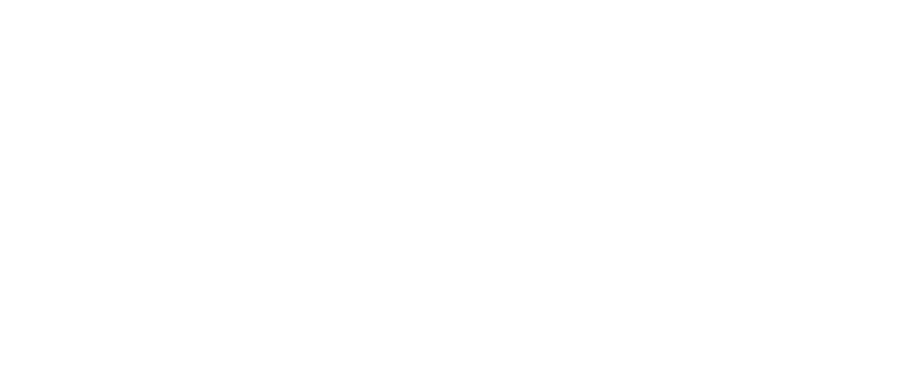 Logo RCNP diplôme d'état